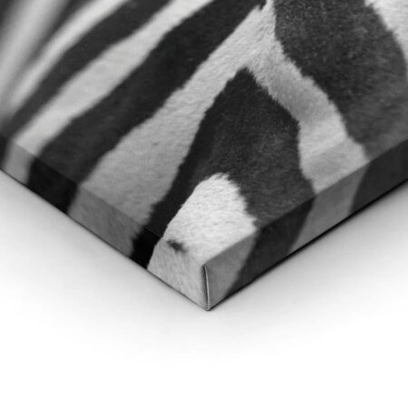 Σετ Δίπτυχος Πινακας σε καμβά GREVY ZEBRA - Ζεμπρες Sticky 1