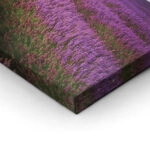 Τετράπτυχος LAVENDER FIELD