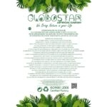 CYCAS 21474 Τεχνητό Διακοσμητικό Φυτό Κύκας Υ42cm