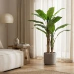BANANA TREE NP702_145  ΥΨΟΣ 145cm