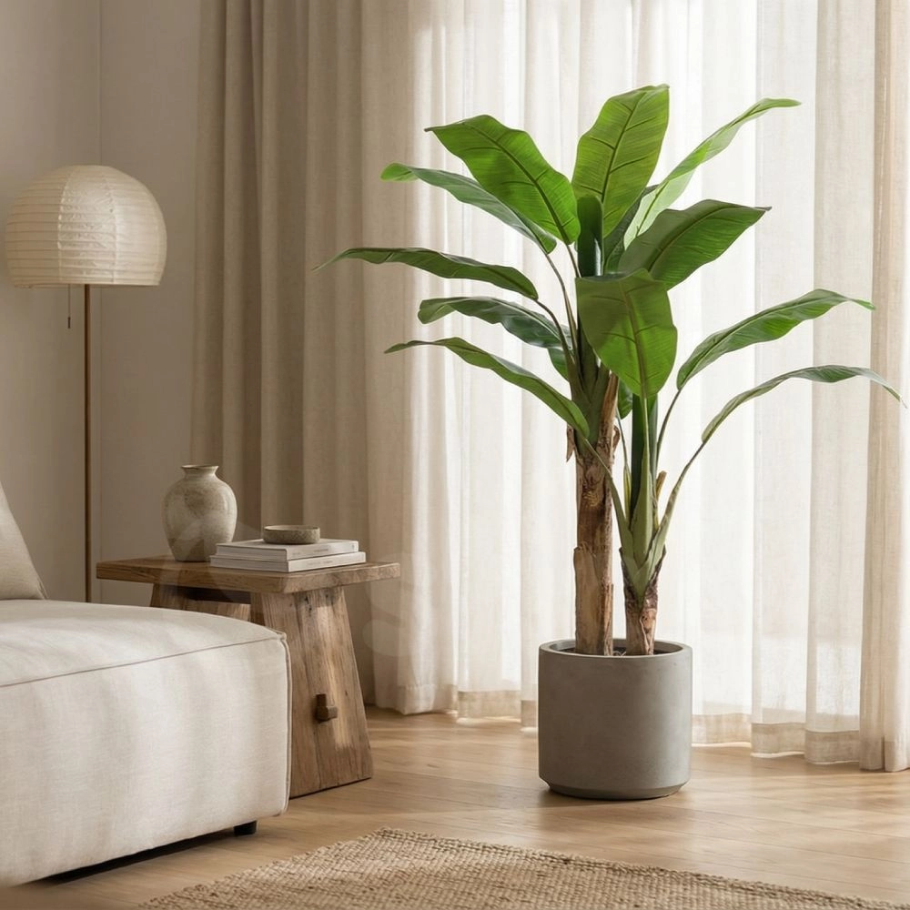 BANANA TREE NP702_145  ΥΨΟΣ 145cm