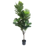 ΔΕΝΤΡΟ ΦΙΚΟΣ ΛΥΡΑΤΑ REAL TOUCH ΣΕ ΓΛΑΣΤΡΑ - Υ174cm