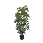 ΔΕΝΤΡΟ ΣΕΦΛΕΡΑ ΣΕ ΚΑΣΠΩ - Υ140cm