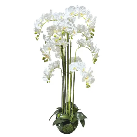 ΦΥΤΟ ΟΡΧΙΔΕΑ ΛΕΥΚΟ ΑΝΘΗ REAL TOUCH - Υ135cm 1/ΚΙΒ - Τεχνητά Φυτά και Δέντρα