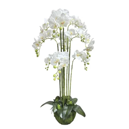 ΦΥΤΟ ΟΡΧΙΔΕΑ ΛΕΥΚΑ ΑΝΘΗ REAL TOUCH - Υ118cm 1/ΚΙΒ - Τεχνητά Φυτά και Δέντρα
