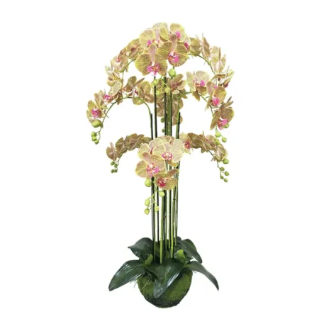 ΦΥΤΟ ΟΡΧΙΔΕΑ ΛΑΧΑΝΙ ΜΕ ΡΟΖ ΡΙΓΕΣ ΑΝΘΗ REAL TOUCH - Y118cm 1/KIB - Τεχνητά Φυτά και Δέντρα