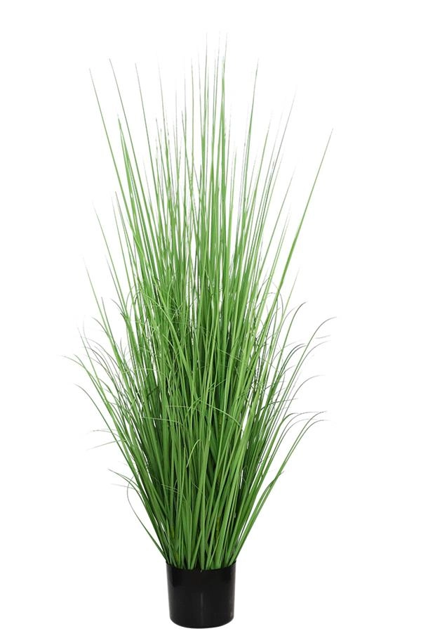 ONION GRASS TREE  NP1011_120 ΥΨΟΣ 120cm