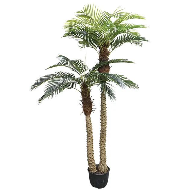 ΔΕΝΤΡΟ ΦΟΙΝΙΚΑΣ ΑΡΕΚΑ x2 REAL TOUCH ΣΕ ΓΛΑΣΤΡΑ -  Υ250cm 2/ΚΙΒ