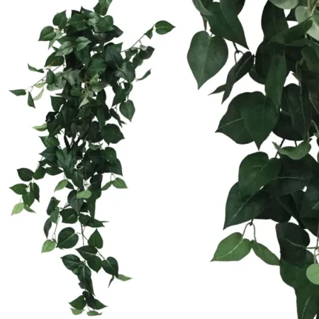 ΡΙΖΑ ΚΡΕΜΑΣΤΗ ΠΟΘΟΣ ΠΡΑΣΙΝΟΣ Y100cm 1/50KIB - Κασπω