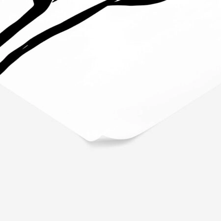 Πόστερ ABSTRACT BLACK AND WHITE FLOWERS - Posters Sticky 2