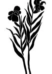 Πόστερ ABSTRACT BLACK AND WHITE FLOWERS