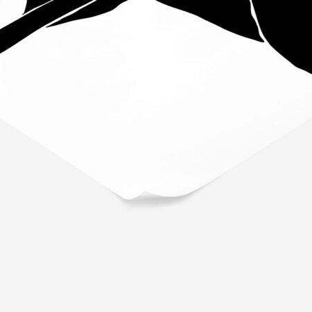 Πόστερ ABSTRACT BLACK AND WHITE FLOWER - Botanical - Λουλούδια Sticky 2