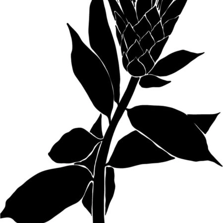 Πόστερ ABSTRACT BLACK AND WHITE FLOWER - Botanical - Λουλούδια Sticky 3