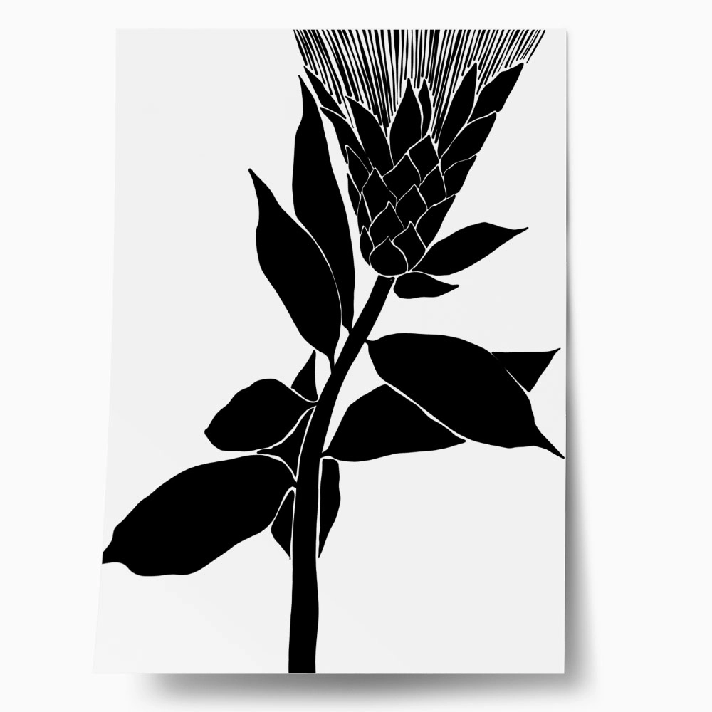 Πόστερ ABSTRACT BLACK AND WHITE FLOWER