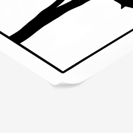Πόστερ ABSTRACT BLACK AND WHITE LEAVES - Botanical - Λουλούδια Sticky 2