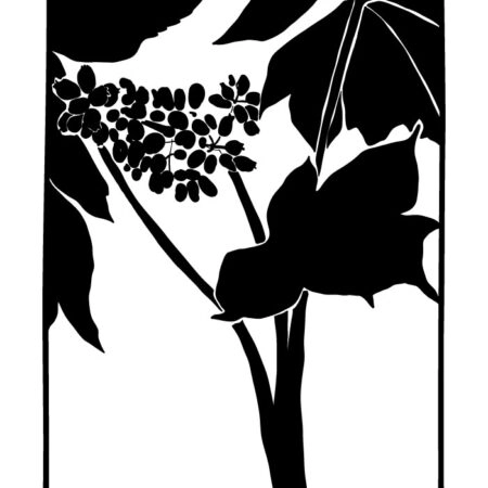 Πόστερ ABSTRACT BLACK AND WHITE LEAVES - Botanical - Λουλούδια Sticky 3
