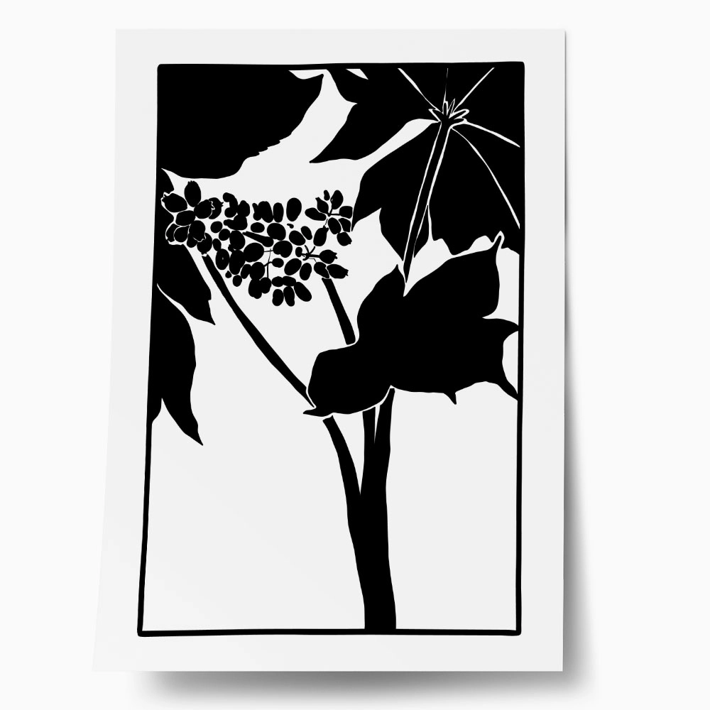 Πόστερ ABSTRACT BLACK AND WHITE LEAVES