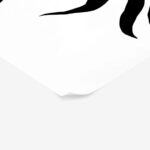Πόστερ ABSTRACT BLACK AND WHITE ROSE