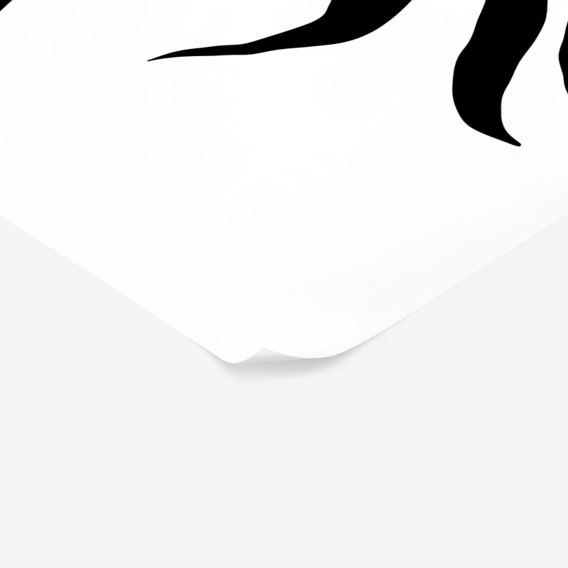 Πόστερ ABSTRACT BLACK AND WHITE ROSE