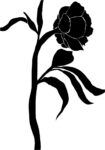 Πόστερ ABSTRACT BLACK AND WHITE ROSE