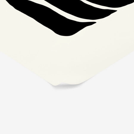 Πόστερ BLACK AND WHITE FLORAL 17 - Abstract - Αφηρημένα Sticky 2