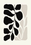 Πόστερ BLACK AND WHITE FLORAL 1