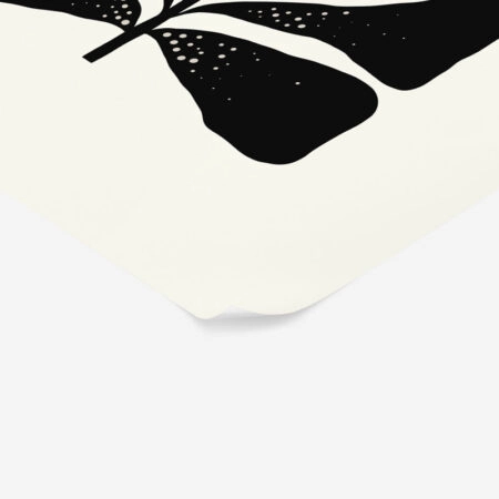 Πόστερ BLACK AND WHITE FLORAL 9 - Botanical - Λουλούδια Sticky 2