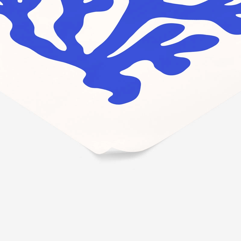 Πόστερ MATISSE STYLE CORAL 2