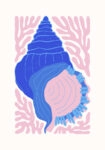 Πόστερ MATISSE STYLE SEASHELL 1