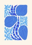 Πόστερ MATISSE STYLE SEASHELL 2