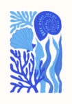 Πόστερ MATISSE STYLE SEASHELL 3
