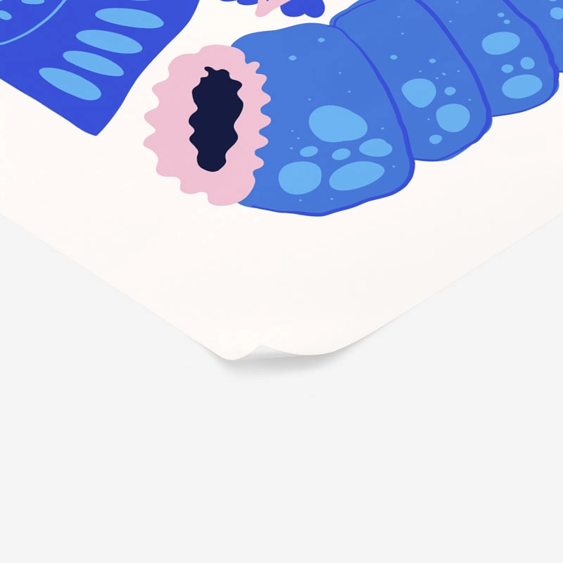 Πόστερ MATISSE STYLE SEASHELL 4