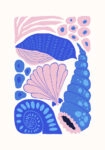 Πόστερ MATISSE STYLE SEASHELL 4