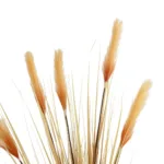 PAMPAS GRASS 21476 Τεχνητό Διακοσμητικό Φυτό Μπεζ Πάμπας Μ90 x Π40 x Υ150cm