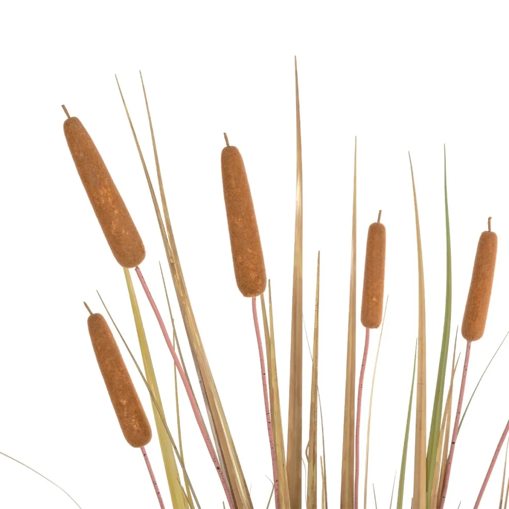 TYPHA GRASS 21483 Artificial Decorative Typha Grass Plant W70 x D40 x H150cm