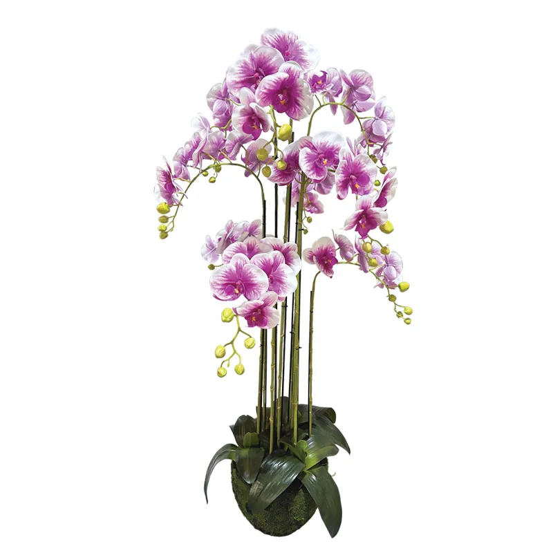 ΦΥΤΟ ΟΡΧΙΔΕΑ ΔΙΧΡΩΜΗ ΜΩΒ/ΛΕΥΚΑ ΑΝΘΗ REAL TOUCH - Υ118cm