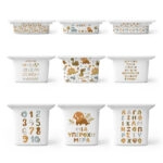 Αυτοκόλλητα για Κουτιά Αποθήκευσης Trofast DINO LEARNING