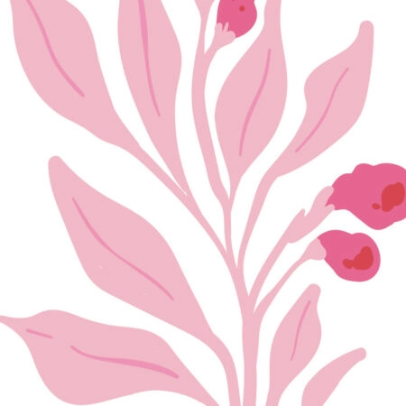 Πόστερ MATISSE STYLE BOTANICAL PINK FLOWERS - Botanical - Λουλούδια Sticky 3