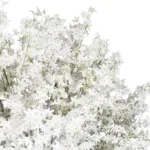 ALMOND TREE 21113 Τεχνητό Διακοσμητικό Δέντρο Αμυγδαλιά Μ65 x Π60 x Υ200cm