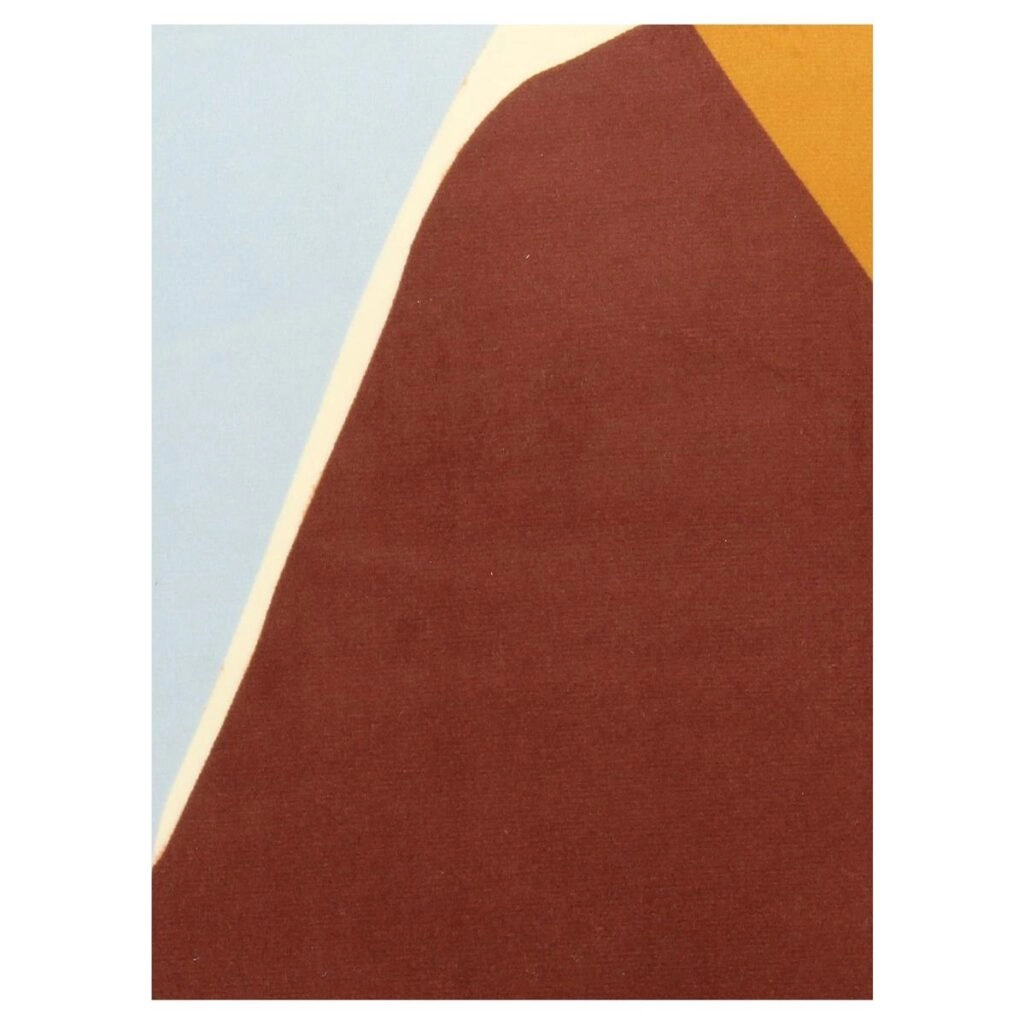 Μαξιλάρι Πολύχρωμο Βελούδο 60x60cm