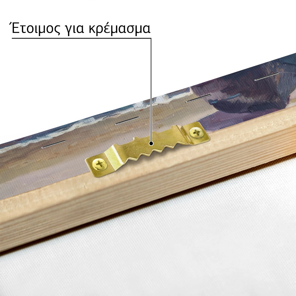 Πινακας σε καμβά JOAQUIN SOROLLA - THE SHADOW OF THE BOAT