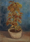 Πινακας σε καμβά VAN GOGH - BLUMENTOPF MIT BUNTNESSEL