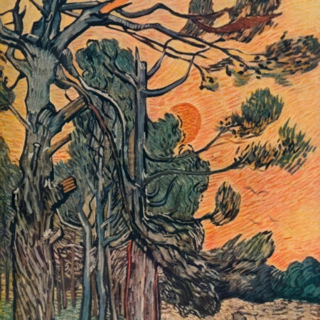 Πινακας σε καμβά VAN GOGH - FORET DE SAPINS AU DECLIN DU JOUR - Vincent Van Gogh Sticky 6