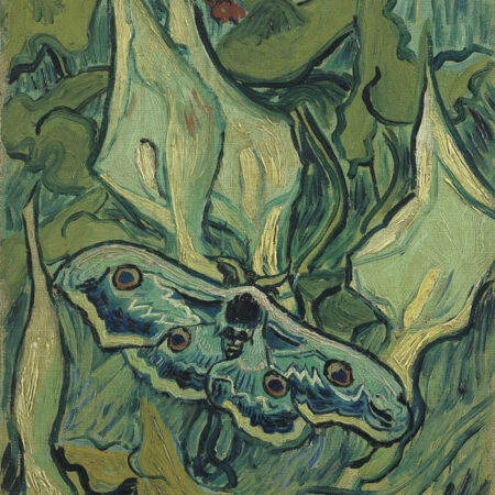 Πινακας σε καμβά VAN GOGH - GIANT PEACOCK MOTH - Vincent Van Gogh Sticky 5