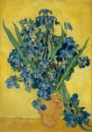 Πινακας σε καμβά VAN GOGH - IRISES 1890 B