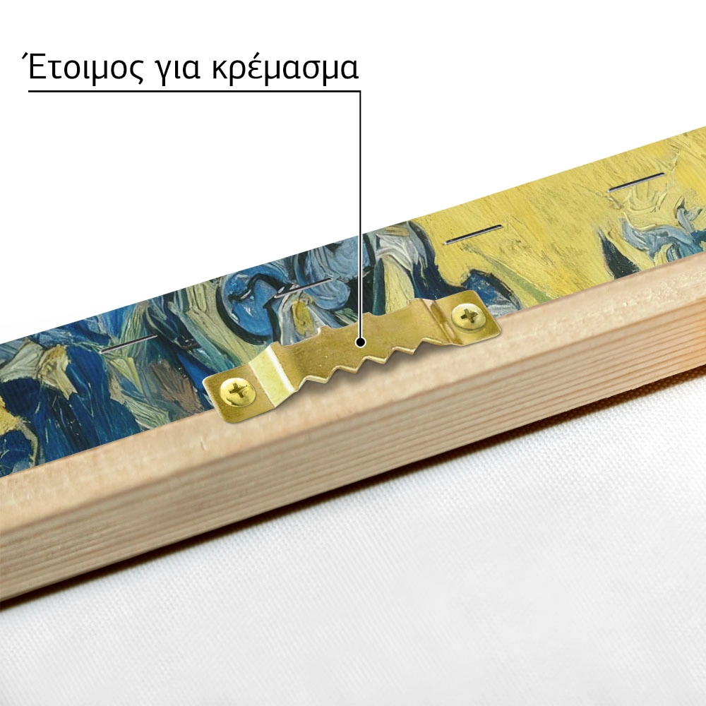 Πινακας σε καμβά VAN GOGH - IRISES 1890 B