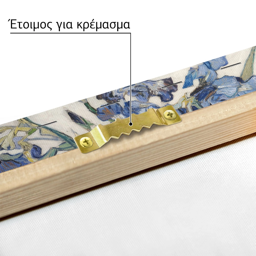Πινακας σε καμβά VAN GOGH - IRISES 1890