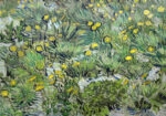 Πινακας σε καμβά VAN GOGH - LES PISSENLITS