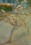 Πινακας σε καμβά VAN GOGH - SMALL PEAR TREE IN BLOSSOM