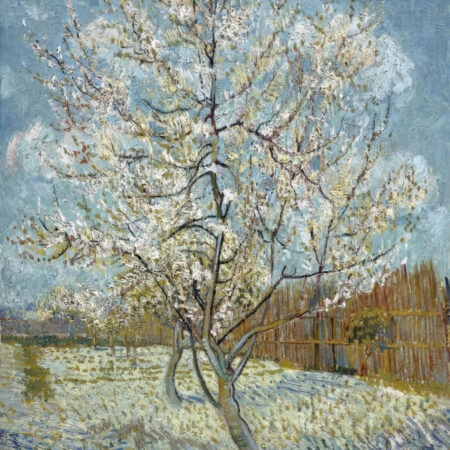 Πινακας σε καμβά VAN GOGH - THE PINK PEACH TREE - Vincent Van Gogh Sticky 5